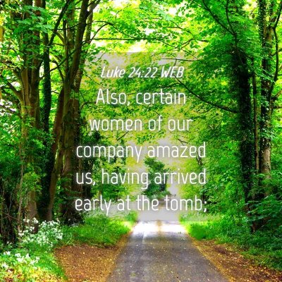 Picture 04 - Luke 24:22 WEB - Also, certain women of our company amazed us, - Bible Verse Picture