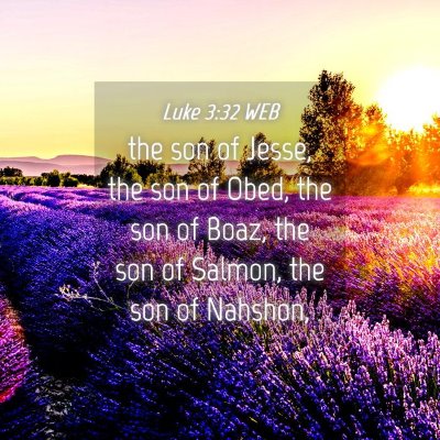 Picture 04 - Luke 3:32 WEB - the son of Jesse, the son of Obed, the son of - Bible Verse Picture