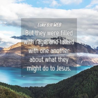 Picture 04 - Luke 6:11 WEB - But they were filled with rage, and talked with - Bible Verse Picture