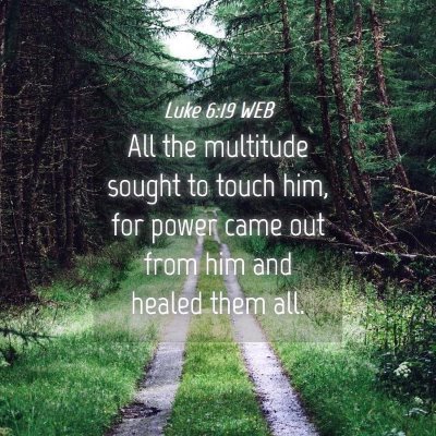 Picture 04 - Luke 6:19 WEB - All the multitude sought to touch him, for power - Bible Verse Picture