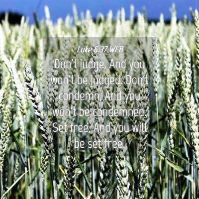 Picture 04 - Luke 6:37 WEB - Don't judge, And you won't be judged. Don't - Bible Verse Picture