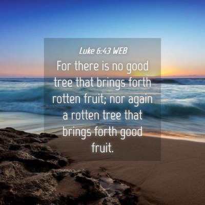 Picture 04 - Luke 6:43 WEB - For there is no good tree that brings forth - Bible Verse Picture