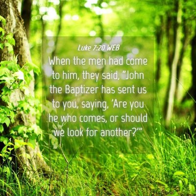 Picture 04 - Luke 7:20 WEB - When the men had come to him, they said, 