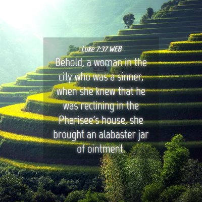 Picture 04 - Luke 7:37 WEB - Behold, a woman in the city who was a sinner, - Bible Verse Picture
