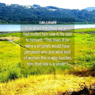 Picture 04 - Luke 7:39 WEB - Now when the Pharisee who had invited him saw it, - Bible Verse Picture