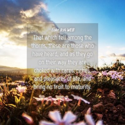 Picture 04 - Luke 8:14 WEB - That which fell among the thorns, these are those - Bible Verse Picture