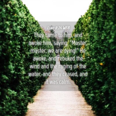 Picture 04 - Luke 8:24 WEB - They came to him, and awoke him, saying, 