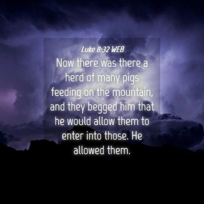 Picture 04 - Luke 8:32 WEB - Now there was there a herd of many pigs feeding - Bible Verse Picture