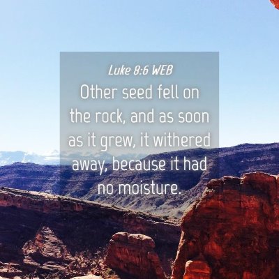 Picture 04 - Luke 8:6 WEB - Other seed fell on the rock, and as soon as it - Bible Verse Picture