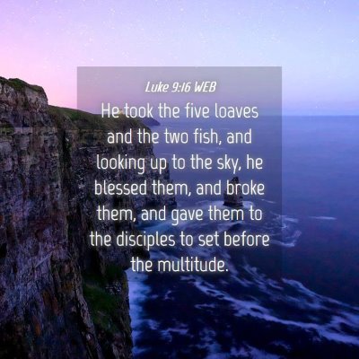 Picture 04 - Luke 9:16 WEB - He took the five loaves and the two fish, and - Bible Verse Picture