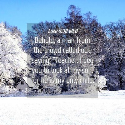 Picture 04 - Luke 9:38 WEB - Behold, a man from the crowd called out, saying, - Bible Verse Picture