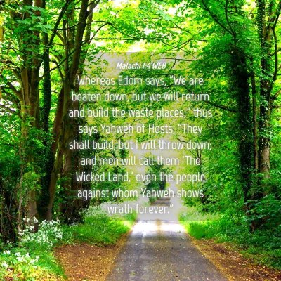 Picture 04 - Malachi 1:4 WEB - Whereas Edom says, 