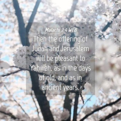 Picture 04 - Malachi 3:4 WEB - Then the offering of Judah and Jerusalem will be - Bible Verse Picture