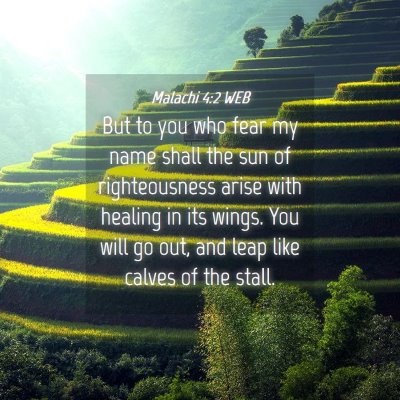 Picture 04 - Malachi 4:2 WEB - But to you who fear my name shall the sun of - Bible Verse Picture
