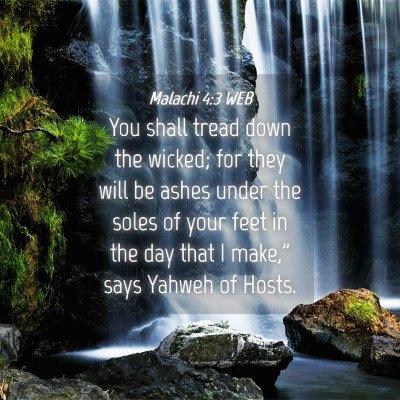 Picture 04 - Malachi 4:3 WEB - You shall tread down the wicked; for they will be - Bible Verse Picture