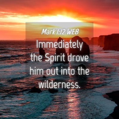 Picture 04 - Mark 1:12 WEB - Immediately the Spirit drove him out into the - Bible Verse Picture