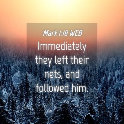 Picture 04 - Mark 1:18 WEB - Immediately they left their nets, and followed - Bible Verse Picture