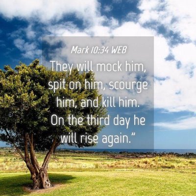 Picture 04 - Mark 10:34 WEB - They will mock him, spit on him, scourge him, and - Bible Verse Picture