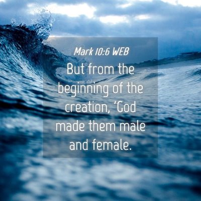 Picture 04 - Mark 10:6 WEB - But from the beginning of the creation, 'God made - Bible Verse Picture