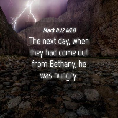 Picture 04 - Mark 11:12 WEB - The next day, when they had come out from - Bible Verse Picture