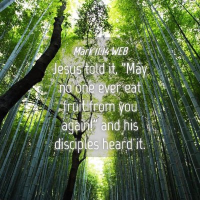 Picture 04 - Mark 11:14 WEB - Jesus told it, 