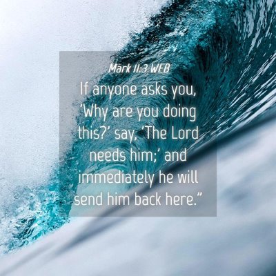 Picture 04 - Mark 11:3 WEB - If anyone asks you, 'Why are you doing this?' - Bible Verse Picture