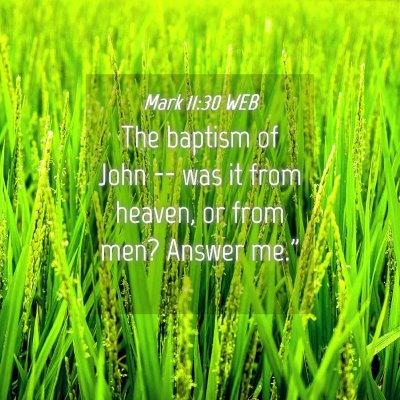 Picture 04 - Mark 11:30 WEB - The baptism of John -- was it from heaven, or - Bible Verse Picture