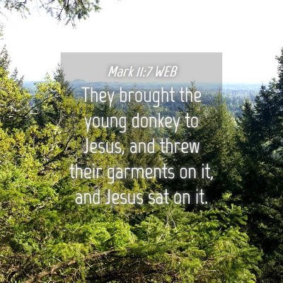 Picture 04 - Mark 11:7 WEB - They brought the young donkey to Jesus, and threw - Bible Verse Picture