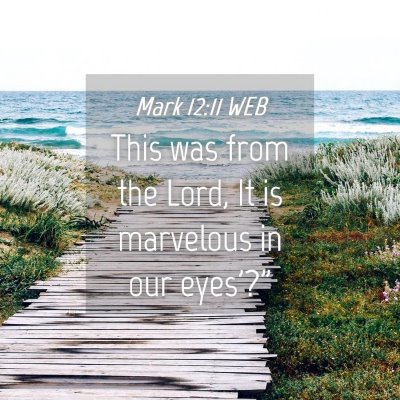 Picture 04 - Mark 12:11 WEB - This was from the Lord, It is marvelous in our - Bible Verse Picture