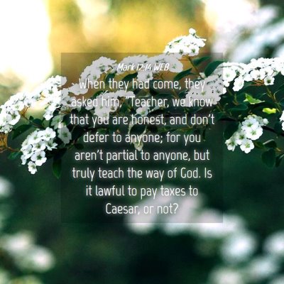 Picture 04 - Mark 12:14 WEB - When they had come, they asked him, 