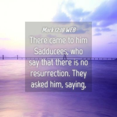 Picture 04 - Mark 12:18 WEB - There came to him Sadducees, who say that there - Bible Verse Picture