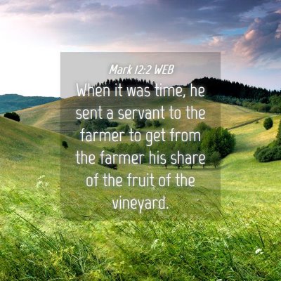 Picture 04 - Mark 12:2 WEB - When it was time, he sent a servant to the farmer - Bible Verse Picture