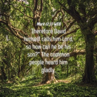 Picture 04 - Mark 12:37 WEB - Therefore David himself calls him Lord, so how - Bible Verse Picture