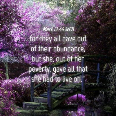 Picture 04 - Mark 12:44 WEB - for they all gave out of their abundance, but - Bible Verse Picture