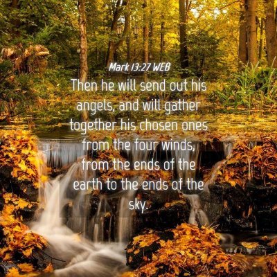 Picture 04 - Mark 13:27 WEB - Then he will send out his angels, and will gather - Bible Verse Picture