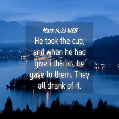 Picture 04 - Mark 14:23 WEB - He took the cup, and when he had given thanks, he - Bible Verse Picture