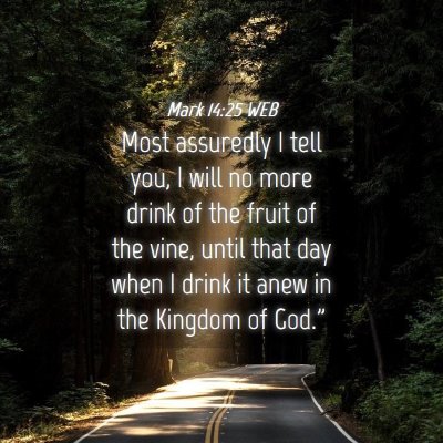 Picture 04 - Mark 14:25 WEB - Most assuredly I tell you, I will no more drink - Bible Verse Picture