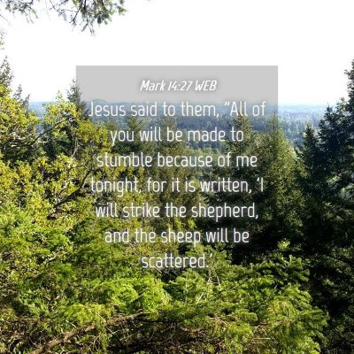 Picture 04 - Mark 14:27 WEB - Jesus said to them, 