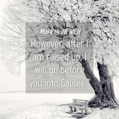 Picture 04 - Mark 14:28 WEB - However, after I am raised up, I will go before - Bible Verse Picture