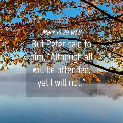 Picture 04 - Mark 14:29 WEB - But Peter said to him, 