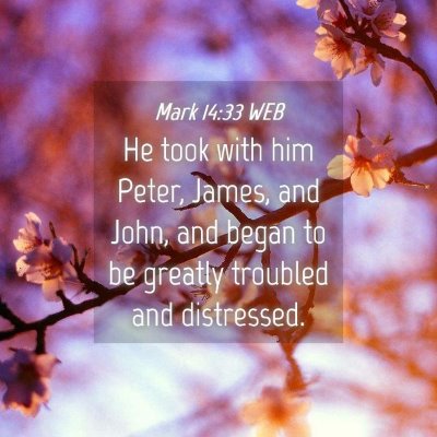 Picture 04 - Mark 14:33 WEB - He took with him Peter, James, and John, and - Bible Verse Picture