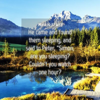 Picture 04 - Mark 14:37 WEB - He came and found them sleeping, and said to - Bible Verse Picture