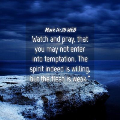 Picture 04 - Mark 14:38 WEB - Watch and pray, that you may not enter into - Bible Verse Picture