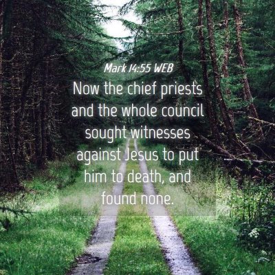 Picture 04 - Mark 14:55 WEB - Now the chief priests and the whole council - Bible Verse Picture