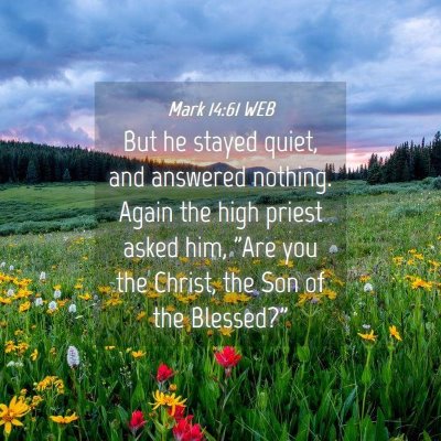 Picture 04 - Mark 14:61 WEB - But he stayed quiet, and answered nothing. Again - Bible Verse Picture