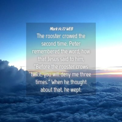Picture 04 - Mark 14:72 WEB - The rooster crowed the second time. Peter - Bible Verse Picture