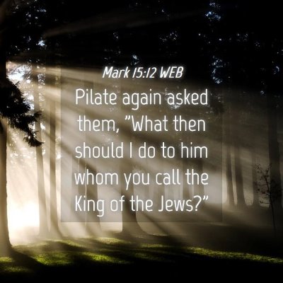 Picture 04 - Mark 15:12 WEB - Pilate again asked them, 