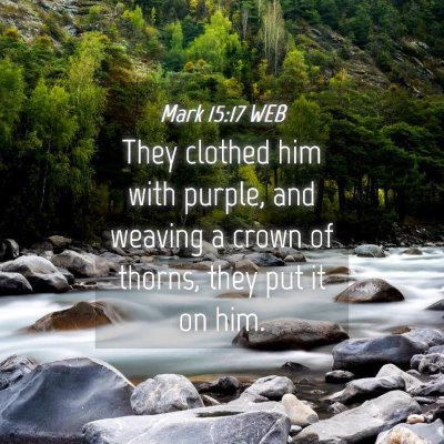 Picture 04 - Mark 15:17 WEB - They clothed him with purple, and weaving a crown - Bible Verse Picture