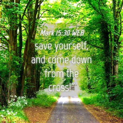 Picture 04 - Mark 15:30 WEB - save yourself, and come down from the - Bible Verse Picture