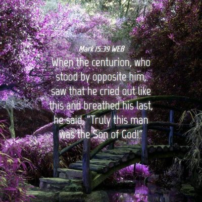 Picture 04 - Mark 15:39 WEB - When the centurion, who stood by opposite him, - Bible Verse Picture